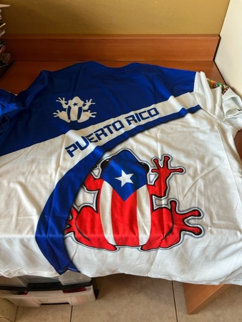 Click to view full screen Personalized Name Puerto Rico 3D All Over Printed Clothes NL239 photo review